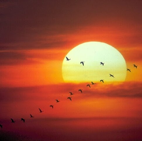 Edward Holmes Photo 11