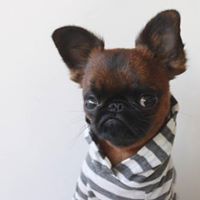 Michael Raney Photo 31