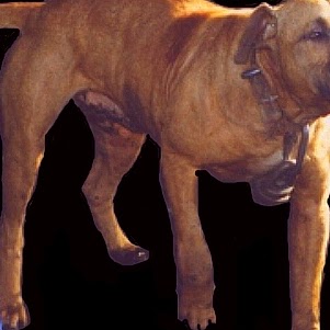 Phillip Weeks Photo 30