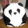 Benjamin Lu Photo 9