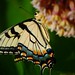 Debbie Mabry Photo 30