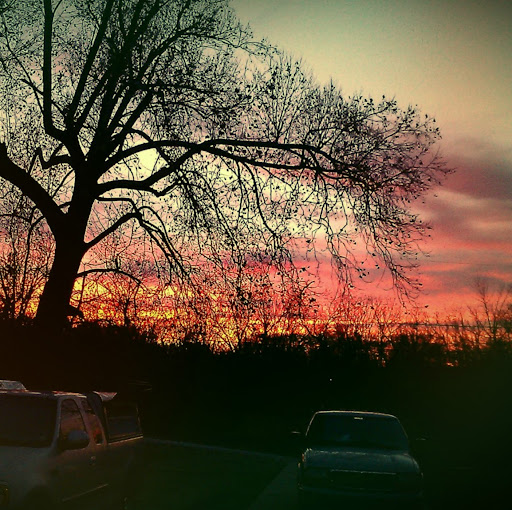 Stacy Wallace Photo 14