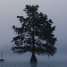 Rowan Taylor Photo 26