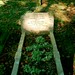 Catherine Graves Photo 41