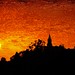 Dawn Humphreys Photo 14