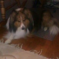 Debbie Zahner Photo 4