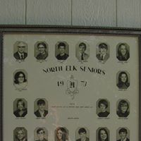 Patty Wiseman Photo 19