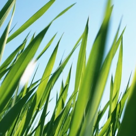 Corey Foreman Photo 4