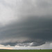 Karen Trapp Photo 30