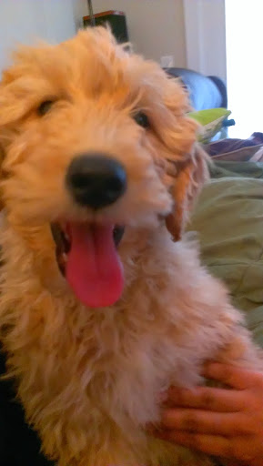 Robert Dickerson Photo 51