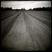 Diana Farmer Photo 40