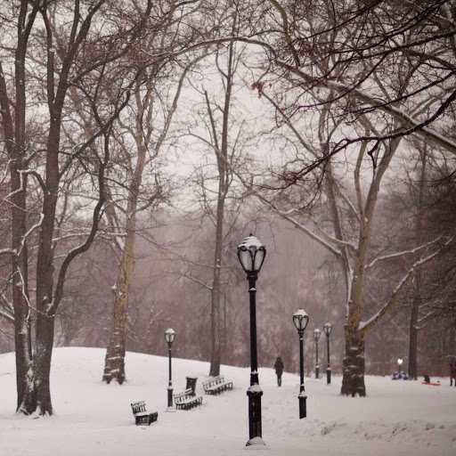 Susan Walsh Photo 12 Susan Walsh Photo 12