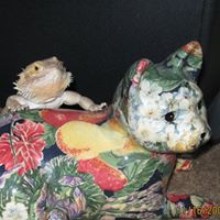 Nancy Andersen Photo 35