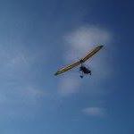 Christine Sisk Photo 8