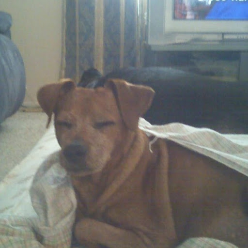 Pamela Keffer Photo 3