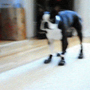 Nicholas Perry Photo 42 Nicholas Perry Photo 42