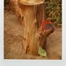 Bradley Stump Photo 13