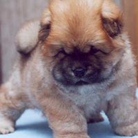 Ralph Torres Photo 24