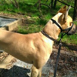 Joseph Livingston Photo 11