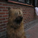 Stanley Chien Photo 24