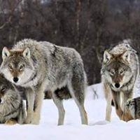 Hernan Silva Photo 13