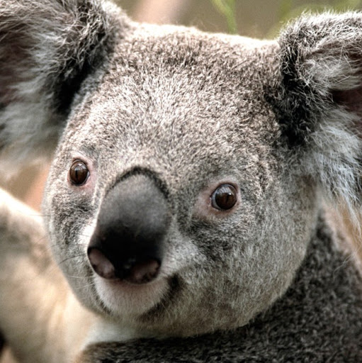 Kenneth Chan Photo 48