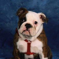 Vickie Garrett Photo 13