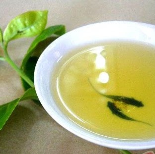 Sandra Fall Photo 11