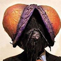 Joshua Field Photo 20