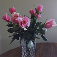 Roberta Murphy Photo 20