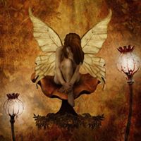 Shawna Steele Photo 11