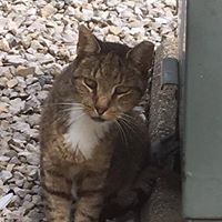 Sandy Garrison Photo 23