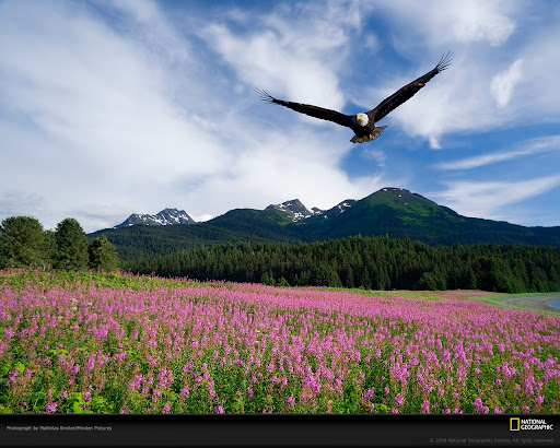 Susan Bassett Photo 29