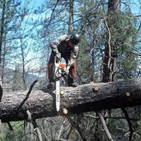 David Angeli Photo 15