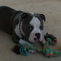 Dorothy Barnett Photo 22