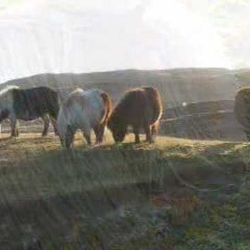 Frances Taylor Photo 46