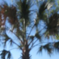 Jeff Loveless Photo 7