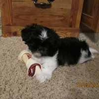 Edith Chapman Photo 10