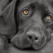 Rita Walker Photo 35