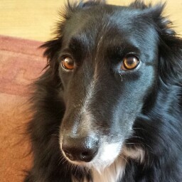 Maria Fisher Photo 34