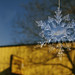 Laura Denney Photo 16