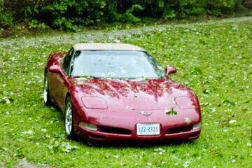 Brian Dougherty Photo 34