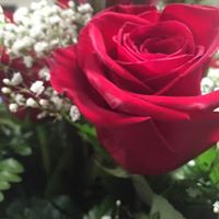 Julie Bruner Photo 10