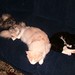 Julie Coon Photo 27