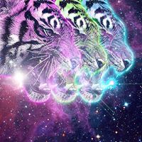 George Magill Photo 5