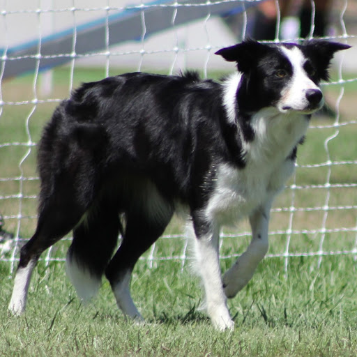 Stacy Winkler Photo 10