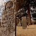 Henry Wolfe Photo 28