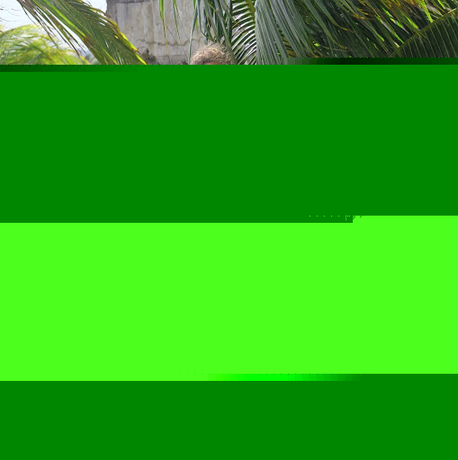 Kristin Breen Photo 8