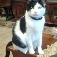 Jimmie Crenshaw Photo 2