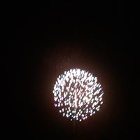 Joshua Forte Photo 5